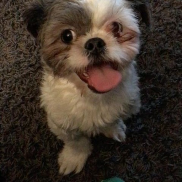 Meet your Posher, Brian - Picture 1 of 1